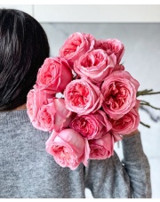 Specjalne zlecenie 100 róż 50 cm 